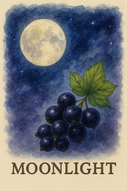 Moonlight